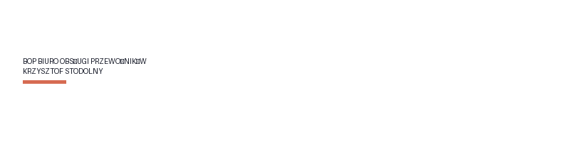 BOP Auto Service logo